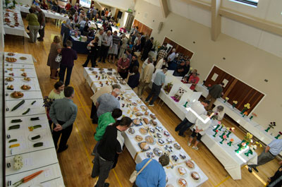Local Village Show in the Main Hall